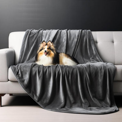 couverture idéal pour animaux de compagnie